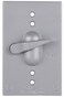 ThomasBetts CCT 1-Gang Silver Weatherproof Switch Receptacle Cover