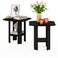 Furinno SIMPLE DESIGN Set of 2 Side Table, 2-Tier End Table, Espresso