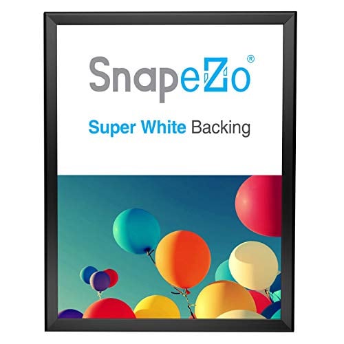 snapezo Snapezo Snap Frame 18x24