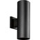 Progress Lighting 2-Light Outdoor Wall Lantern Light, Black