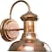 Progress Lighting Brookside Outdoor Wall Lantern Light, Copper
