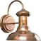Progress Lighting Brookside Outdoor Wall Lantern Light, Copper