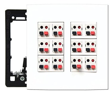 DIYTECH 12 Speaker Wall Plate, 2 Gang Screwless Speaker Port Panel