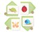 Papyrus Blank Cards with Keepsake Box, Garden Critters ,20-Count
