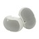Electro-Voice EVID 4.2 Dual 4" 2-Way Surface-Mount Loudspeaker Pair, White