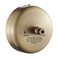 JOOM Retractable Clothesline,9.2 FT Wall-Mounted Line,Brushed Antique Brass