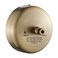 JOOM Retractable Clothesline,9.2 FT Wall-Mounted Line,Brushed Antique Brass