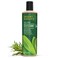 Desert Essence Tea Tree Replenishing Shampoo with Peppermint, 12.7 oz