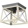 Progress Lighting Briarwood 9.5" 1-Light Flush Mount Light, Graphite