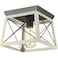 Progress Lighting Briarwood 9.5" 1-Light Flush Mount Light, Graphite