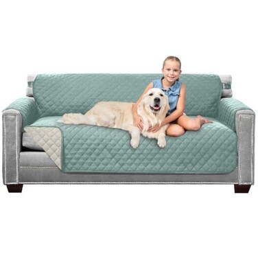Sofa ShieldCouch Sofa Slip Cover for Dogs with Strap, Seafoam Cream