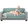 Sofa ShieldCouch Sofa Slip Cover for Dogs with Strap, Seafoam Cream