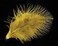 Hareline Extra Select Strung Marabou Red