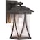 Progress Lighting Abbott Outdoor Wall Light, Antique Bronze