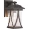 Progress Lighting Abbott Outdoor Wall Light, Antique Bronze