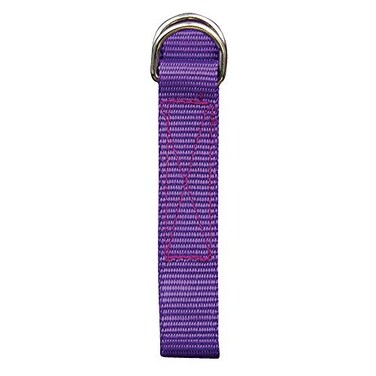 Champro Poly Pro Web Belt ,Purple, 1-Inch