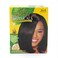 SoftBeautiful Soft and Beautiful Botanicals No-lye Sensitive Scalp Relaxer, Course