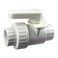 Pentair R172439 Control Valve Replacement Pool and Spa High Capacity Automatic Feeder