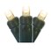 Vickerman 50 Light Wide Angle Warm White LED Light Set on Green Wire