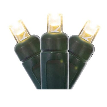 Vickerman 50 Light Wide Angle Warm White LED Light Set on Green Wire