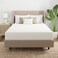 Aller-Ease AllerEase Organically Grown Cotton Waterproof Mattress Pad Queen