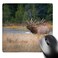 3dRose Canada, Alberta. Rocky Mountain Elk bugles During Fall rut. Jasper NP. Mousepad