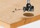 Festool 491072 Euro-Hinge Boring Bit HW 20mm