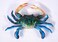 LX Handpainted Blue Crab Magnet