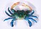 LX Handpainted Blue Crab Magnet