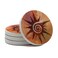 Thirstystone Spiral Sun Round Natural Sandstone Coaster 4 Pack