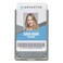 Advantus 76416 Rigid Two-Badge Blocking Smart Card Holder, 3 3/8 x 2 1/8, Clear, 20 per Pack