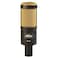 Heil Sound PR40 Large Diameter Dynamic Cardioid Studio Microphone, Black Body, Gold Grill