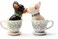 Pacific Giftware 1 X Tea Cup Pups Magnetic SaltPepper Shaker Set S/P