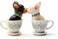Pacific Giftware 1 X Tea Cup Pups Magnetic SaltPepper Shaker Set S/P