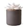 Edens Garden Charcoal Ceramic Bloom Diffuser Essential Oil Passive