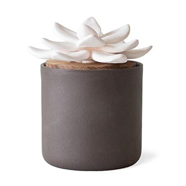 Edens Garden Charcoal Ceramic Bloom Diffuser Essential Oil Passive