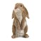 Accent Plus Curious Rabbit Garden Statue 4.75x5x9.25