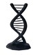 3D Central DNA Double Helix Science Gift 3D Printed