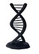 3D Central DNA Double Helix Science Gift 3D Printed