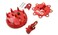 MSD 8482 Distributor Cap and Rotor Kit Red