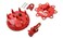 MSD 8482 Distributor Cap and Rotor Kit Red