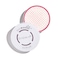 Sigma Beauty SigMagic„Scrub - Solid 2-in-1 Makeup Brush Cleaner Tool, 1 oz