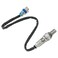 Delphi Oxygen Sensor - ES20094
