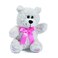 Fun Express Plush Flower Girl Gift Bear