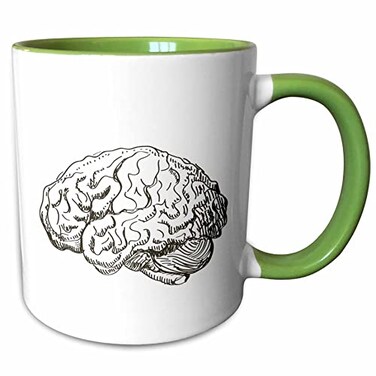 3dRose Brain 11oz Two-Tone Green Mug