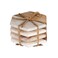Creative Co-Op 4-Piece Marble and Mango Wood Hexagon Coasters, White and Natural