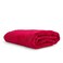 Chemical Guys MIC723 Microfiber Towel ,Red, 25" x 36"