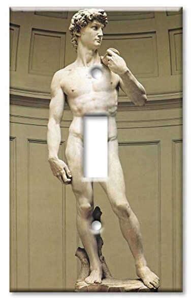 Art Plates - Michelangelo's David Switch Plate - Single Toggle