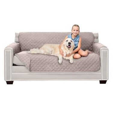 Sofa ShieldCouch Small Sofa Slip Cover for Dogs with Strap, Light Taupe