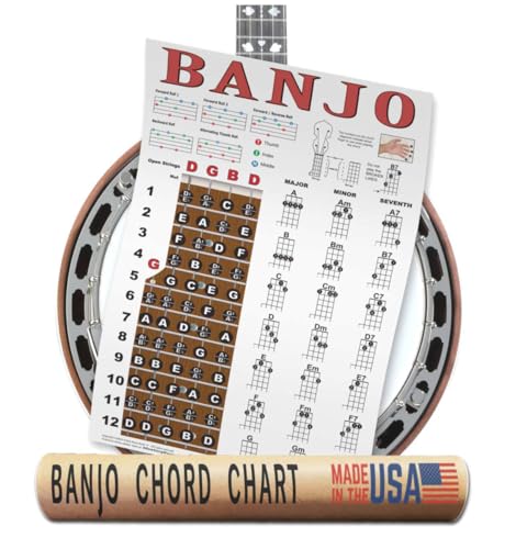 anew Anew A New Banjo Chord Chart Fretboard Notes right-hand Rolls Poster 11x17 11x17